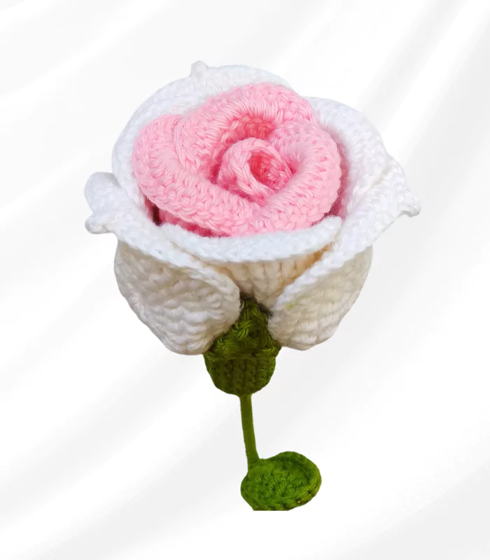 17-678dcef1df8a8 Pink Beige Rose - Image 1