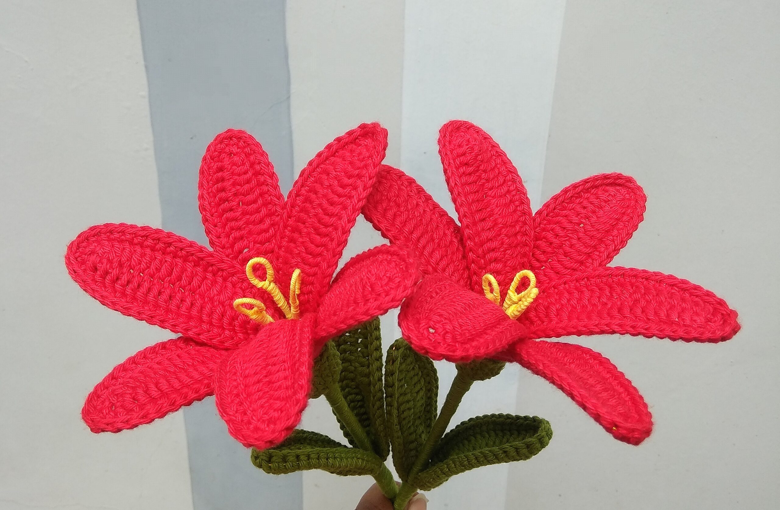 lily Red Lilly - Image 1