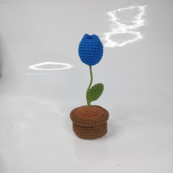 Blue Tulip in Pot